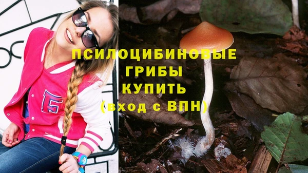 герыч Гусь-Хрустальный