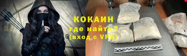 крисы Гусев