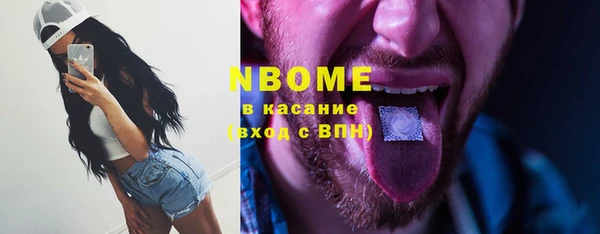 прущие грибы Инсар