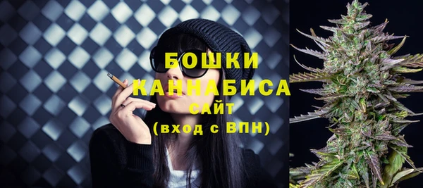 мет Дмитриев