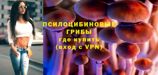 прущие крисы Гусиноозёрск