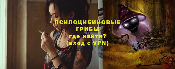 крисы Гусев