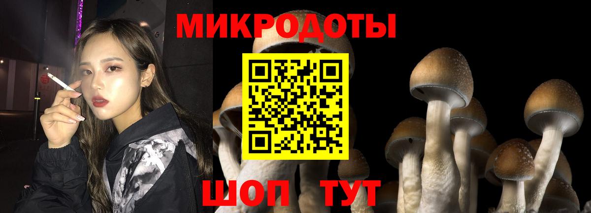 Псилоцибиновые грибы прущие грибы  Вход с VPN  Карасук 