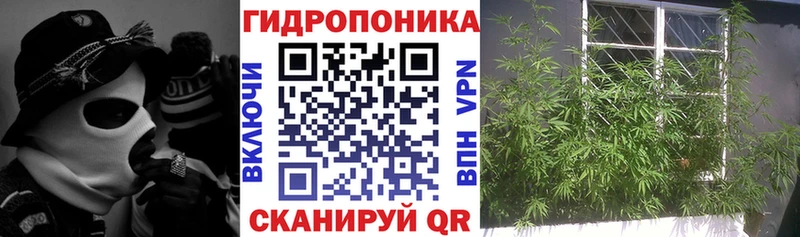 Каннабис Ganja  Карасук 